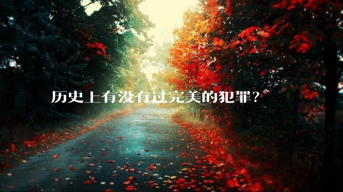 历史上有没有过完美的犯罪？