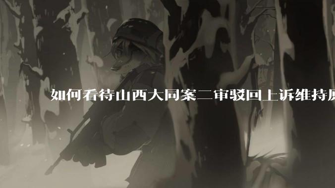 如何看待山西大同案二审驳回上诉维持原判？