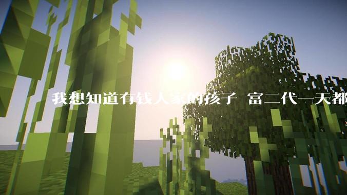 我想知道有钱人家的孩子 富二代一天都在干啥呢？
