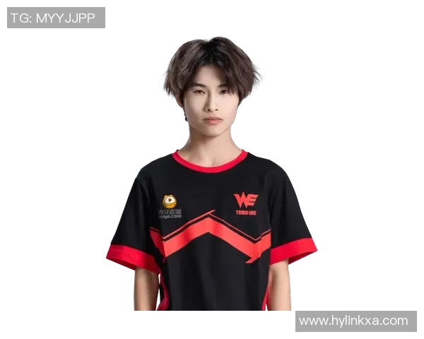 王者荣耀战术解析：深入探讨WE战队的控制能力与策略运用